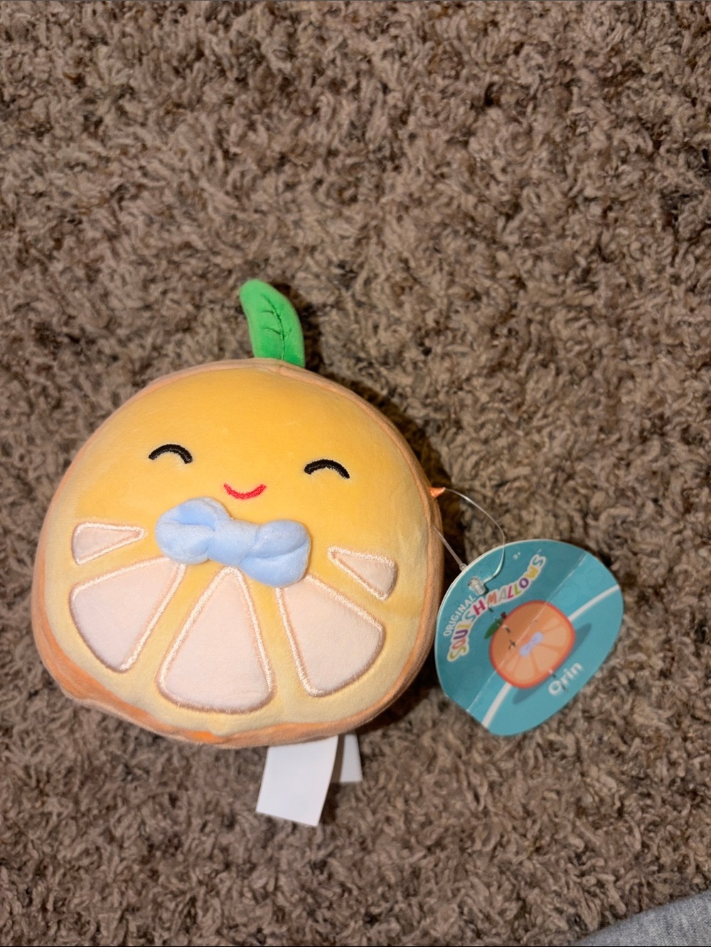 Squishmallow ORIN the Ornage from Fruit Squad series